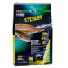 ProPond sterlet 3.0Kg JBL