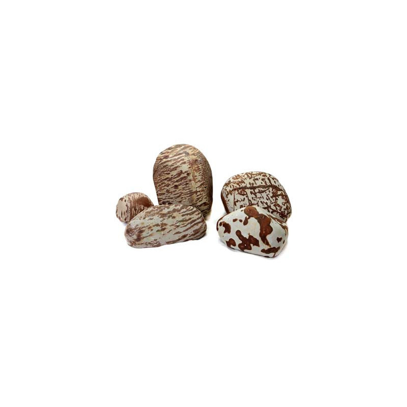 Swan Rock 1-2kg SCALARE