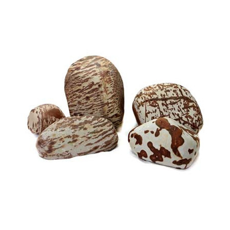 Swan Rock 1-2kg SCALARE