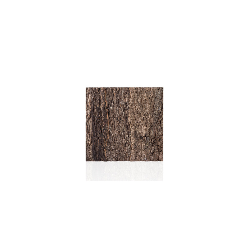 NATURAL CORK TILE BACKGROUND 60x60cm REPTIZOO NATURAL CORK TILE BACKGROUND 60x60cm REPTIZOO