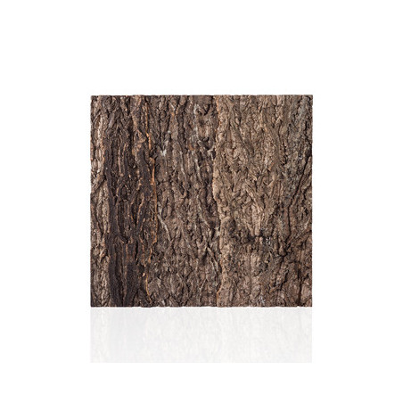 NATURAL CORK TILE BACKGROUND 60x60cm REPTIZOO