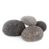 Black Stars 2.5-3.5kg SCALARE