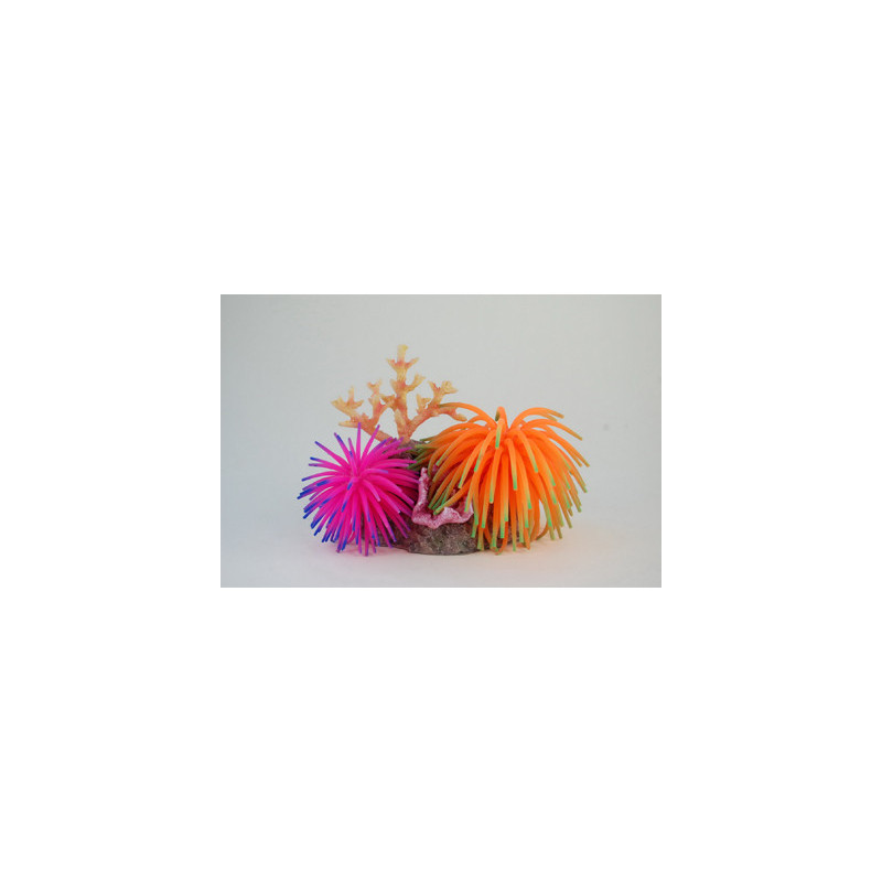CORAL 125x85x110mm--- CORAL 125x85x110mm---