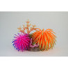 CORAL  125x85x110mm---