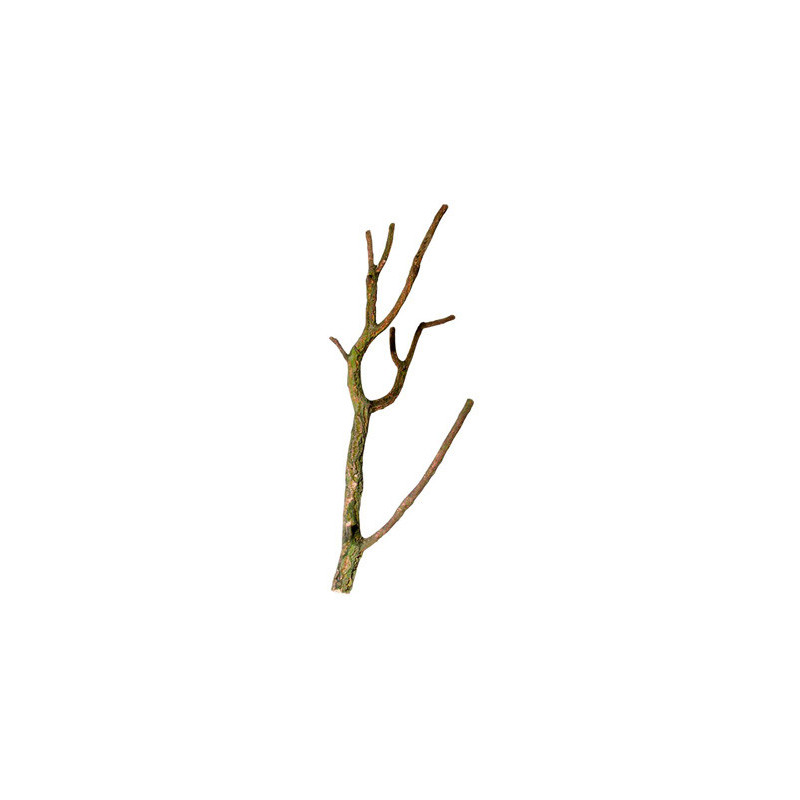 *RAMIFIE EN LIEGE NATUREL (sur commande) *RAMIFIE EN LIEGE NATUREL (sur commande)