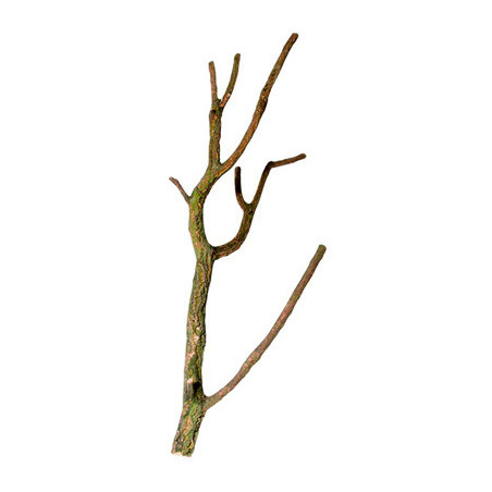 *RAMIFIE EN LIEGE NATUREL (sur commande)