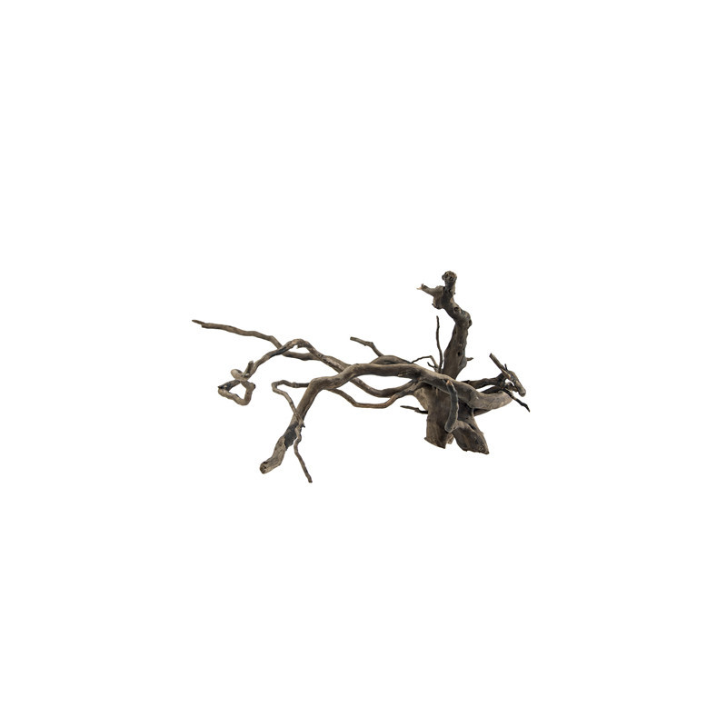 RACINE FINGERWOOD L DARK 40-60cm HOBBY RACINE FINGERWOOD L DARK 40-60cm HOBBY
