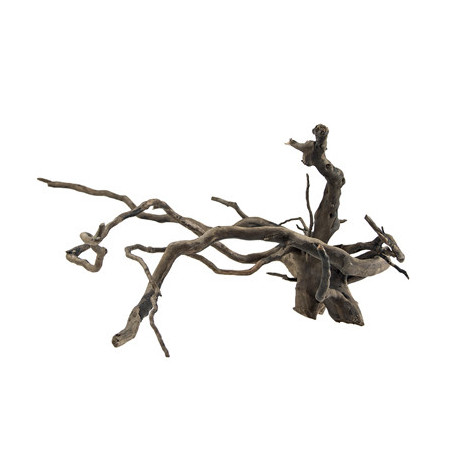 RACINE FINGERWOOD L DARK 40-60cm HOBBY