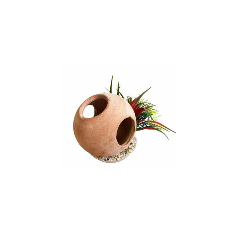 SCAPHANDRE PLANTE H:14cm SCALARE