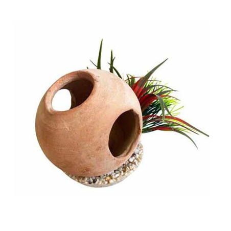 SCAPHANDRE PLANTE H:14cm SCALARE