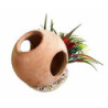 SCAPHANDRE PLANTE H:14cm SCALARE