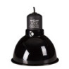 DOME REFLECTEUR MAX. 75W REPTIZOO