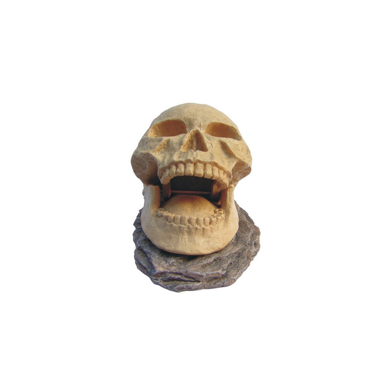 SKULL OPENING 155x100x95mm--- SKULL OPENING 155x100x95mm---