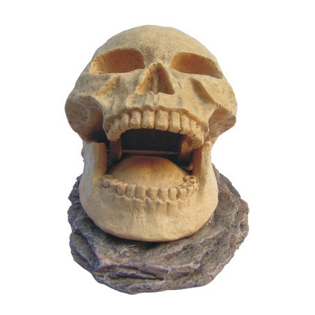 SKULL OPENING  155x100x95mm---