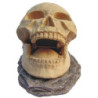 SKULL OPENING  155x100x95mm---