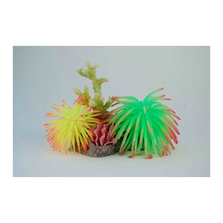CORAL W/ ANEMONE  135x90x105mm---