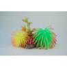 CORAL W/ ANEMONE  135x90x105mm---