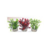 JUNGLE SMALL H:15cm SCALARE