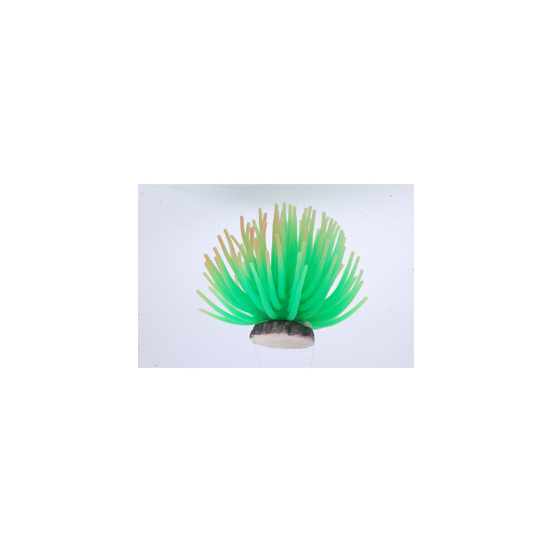 GREEN ANEMONE LG 40x40x50mm--- GREEN ANEMONE LG 40x40x50mm---