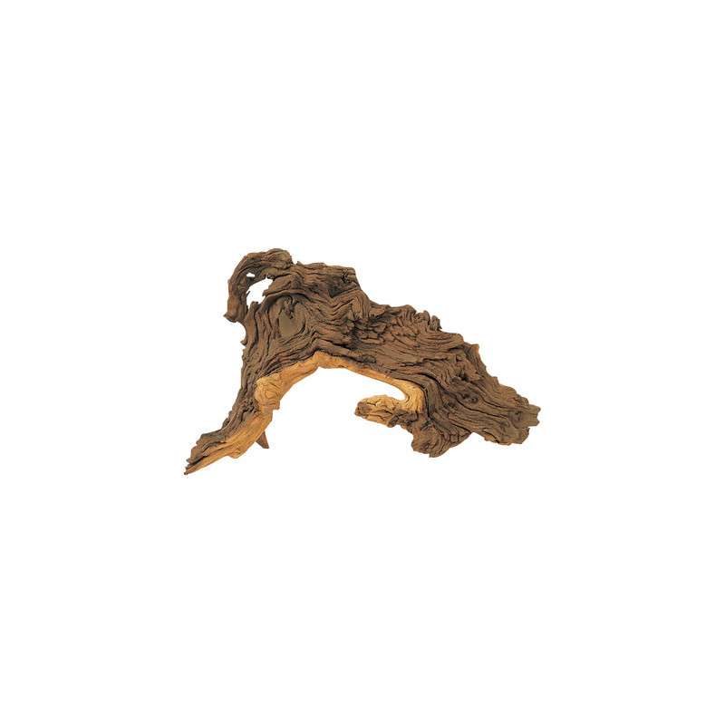 RACINE MOPANI XS 10-15cm HOBBY