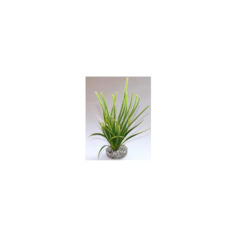 OCEAN LARGE H:21cm SCALARE