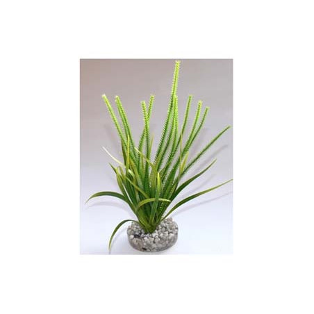 OCEAN LARGE H:21cm SCALARE