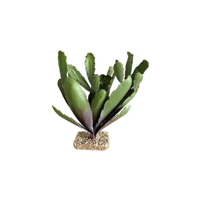 TERRA CACTUS 31cm SCALARE