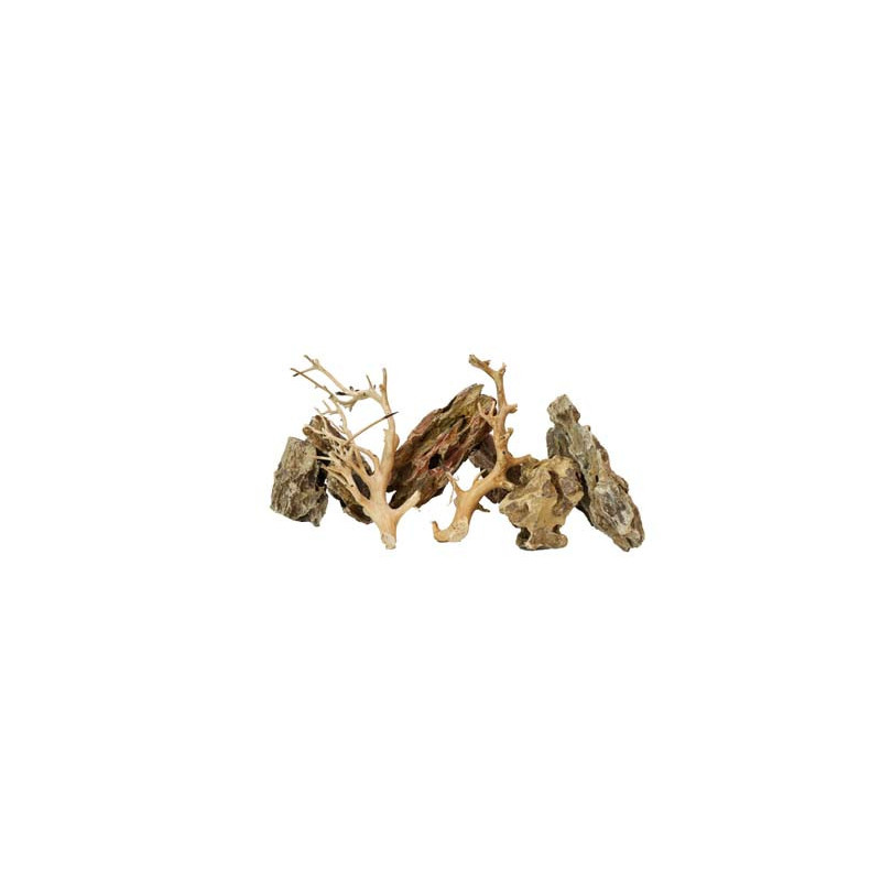ROCHES + RACINES ALVEOLATE ROCK (4/6pc - 2pc) SCALARE ROCHES + RACINES ALVEOLATE ROCK (4/6pc - 2pc) SCALARE