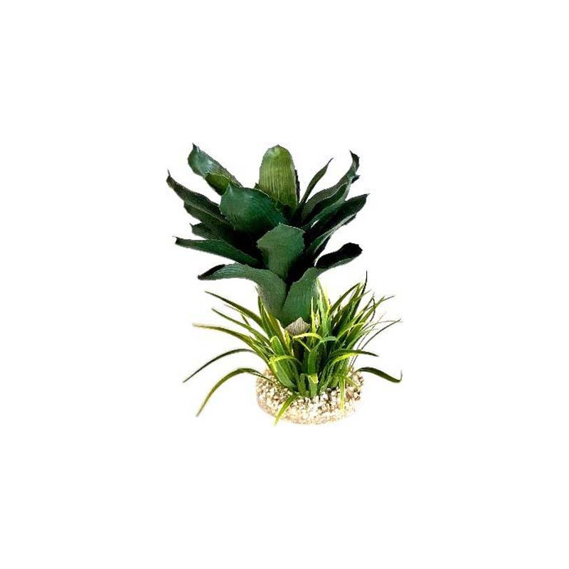 TERRA ANANAS PLANTE 27cm SCALARE