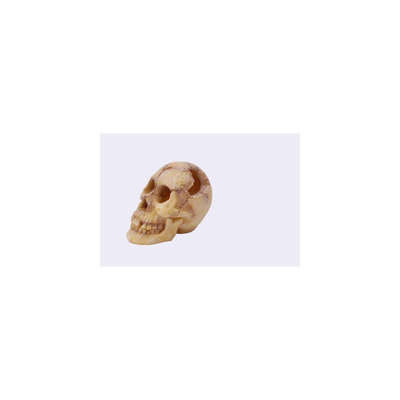 SKULL 180x135x145mm--- SKULL 180x135x145mm---