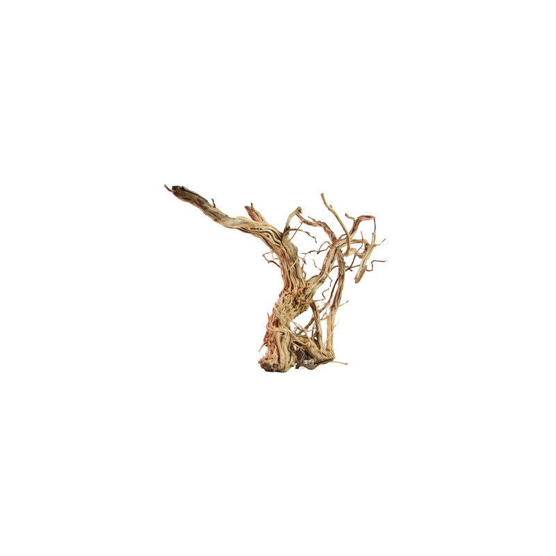 RACINE LEGNO DRAGON SKIN SM 40 à 60cm 1p RACINE LEGNO DRAGON SKIN SM 40 à 60cm 1p