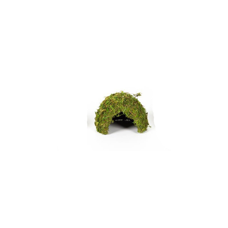 DOME MOUSSE NATURELLE 17x17x12cm REPTIZOO DOME MOUSSE NATURELLE 17x17x12cm REPTIZOO