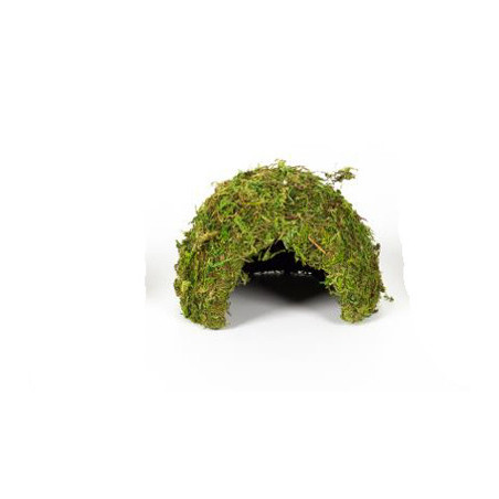 DOME MOUSSE NATURELLE 17x17x12cm REPTIZOO