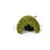 DOME MOUSSE NATURELLE 17x17x12cm REPTIZOO