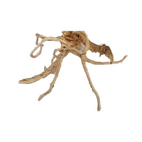RACINE POLISHED DRIFTWOOD 45 à 58cm 1p SCALARE