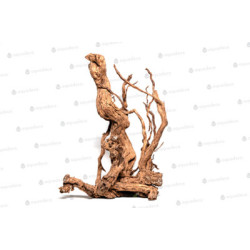 RACINE CURL WOOD M 60 à 80cm 1p