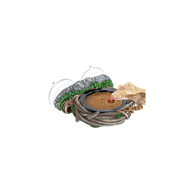 MANGEOIRE ventouses SIMPLE lianes 10x10x4cm REPTIZOO MANGEOIRE ventouses SIMPLE lianes 10x10x4cm REPTIZOO