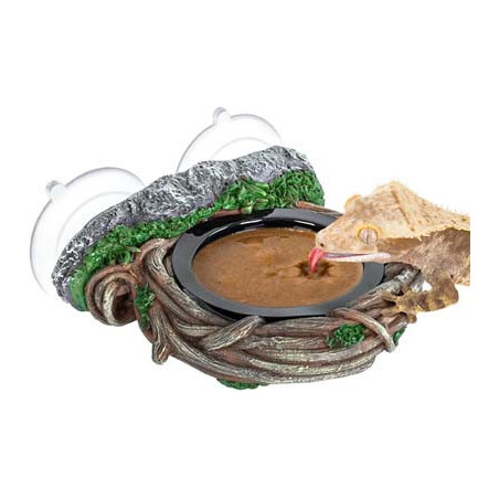 MANGEOIRE ventouses SIMPLE lianes 10x10x4cm REPTIZOO