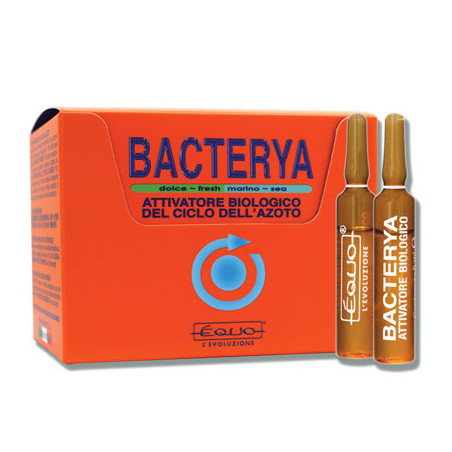BACTERYA 5ml 12 ampoules EQUO