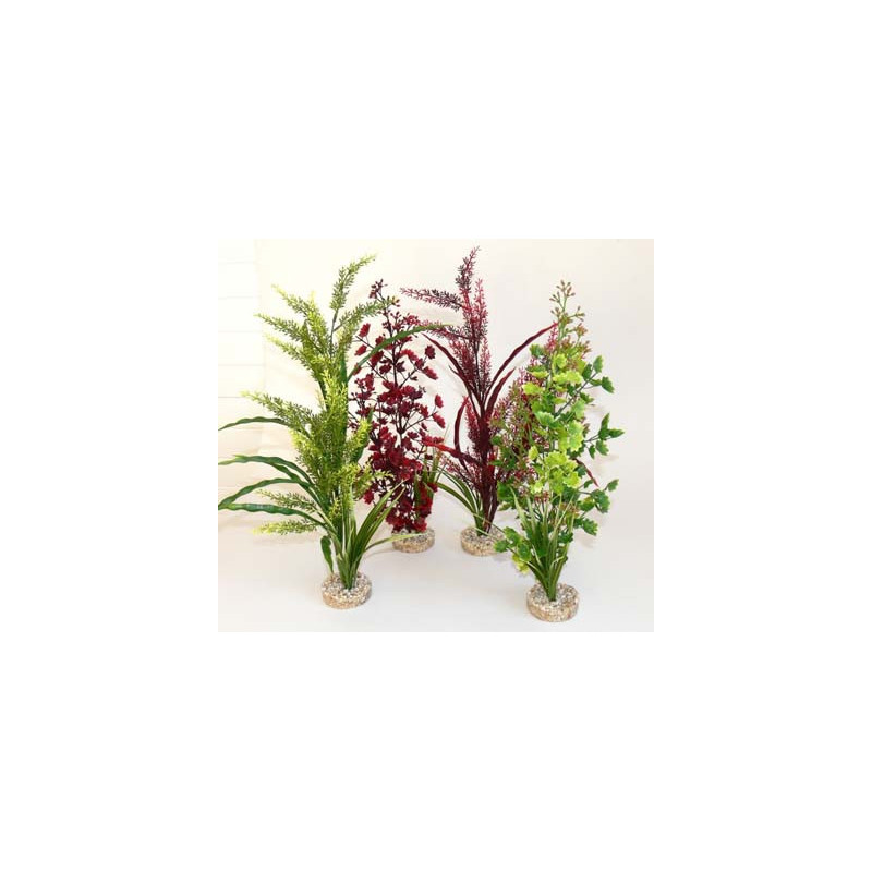 AQUA FOREST SICILY H:45cm SCALARE