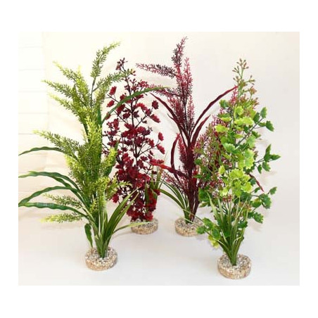 AQUA FOREST SICILY H:45cm SCALARE