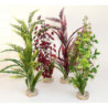 AQUA FOREST SICILY H:45cm SCALARE