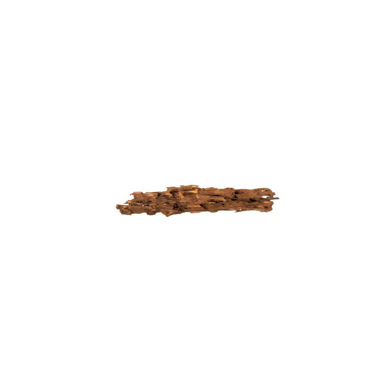 RACINE SHRIMP WOOD 45 à 58cm 1p SCALARE