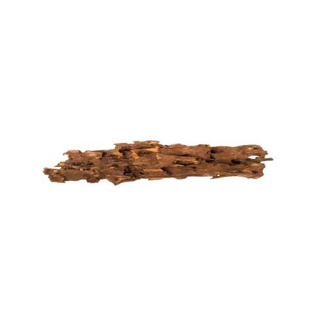 RACINE SHRIMP WOOD 45 à 58cm 1p SCALARE