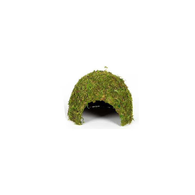 DOME MOUSSE NATURELLE 23x23x18cm REPTIZOO DOME MOUSSE NATURELLE 23x23x18cm REPTIZOO