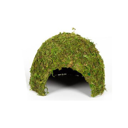 DOME MOUSSE NATURELLE 23x23x18cm REPTIZOO