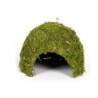 DOME MOUSSE NATURELLE 23x23x18cm REPTIZOO