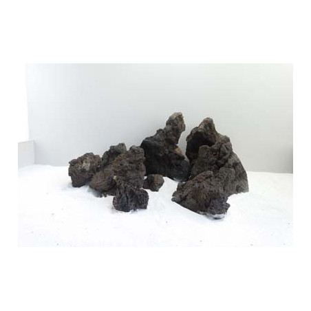 Blue Fairy 2.5-3.5kg SCALARE