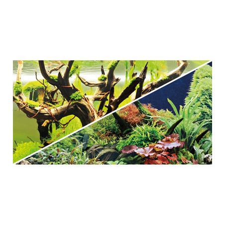 POSTER Green Secret / Wood Island 60x30cm DF HOBBY