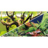 POSTER Green Secret / Wood Island 60x30cm DF HOBBY